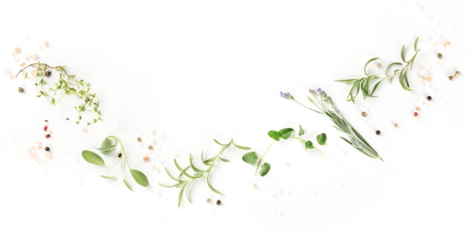 about us - fresh herbs