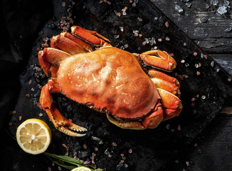Lobster in a tray