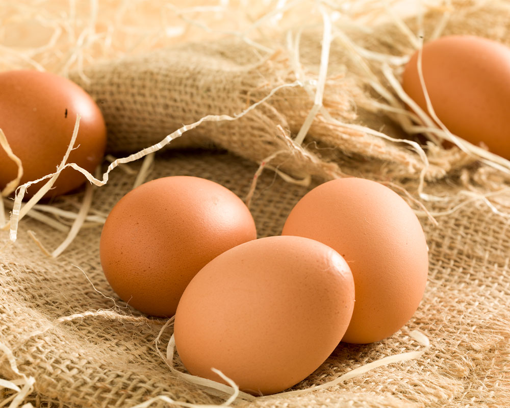 Poultry & Eggs | Fresh Express